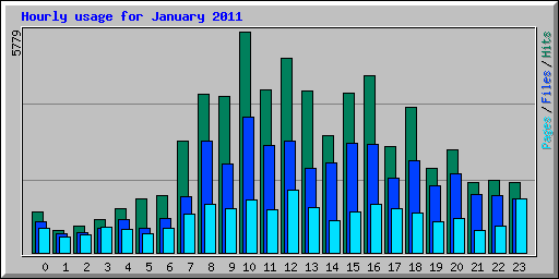 Hourly usage for January 2011