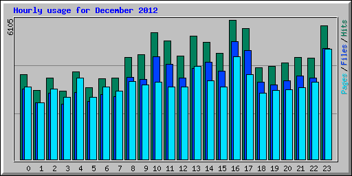 Hourly usage for December 2012
