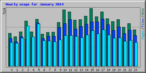 Hourly usage for January 2014