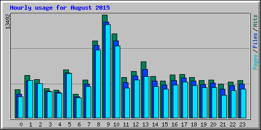 Hourly usage for August 2015