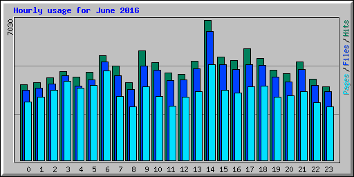 Hourly usage for June 2016